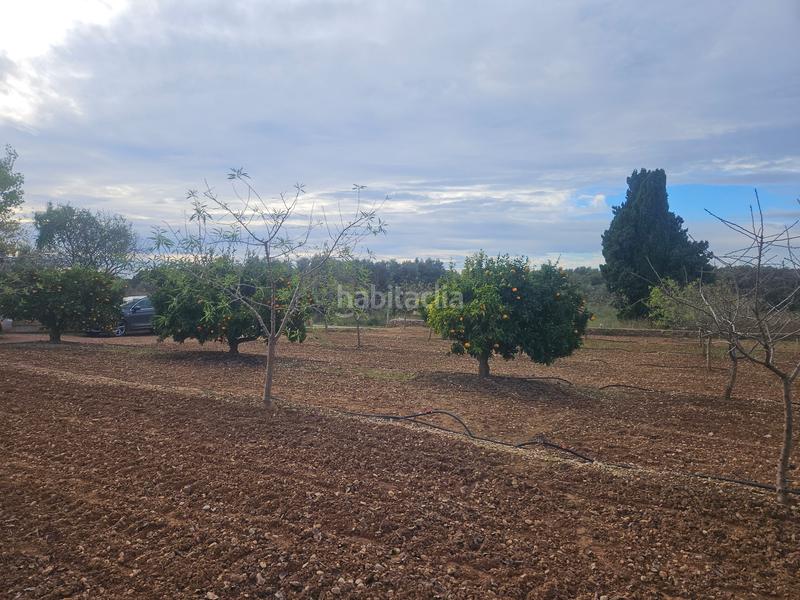 Foto 2193e767-e5f9-42df-965e-3d1010c718fb. Finca rústica a Ulldecona