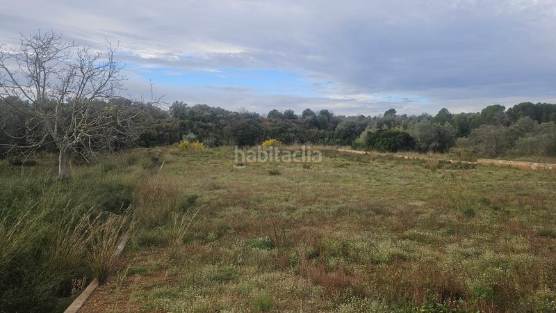 Foto 4d622cab-61d1-42b6-82a7-81f3cfcac01a. Finca rústica a Ulldecona