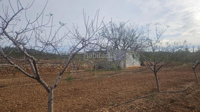 Foto d02d4e55-813d-4619-986f-6604ef965a2a. Finca rústica a Ulldecona
