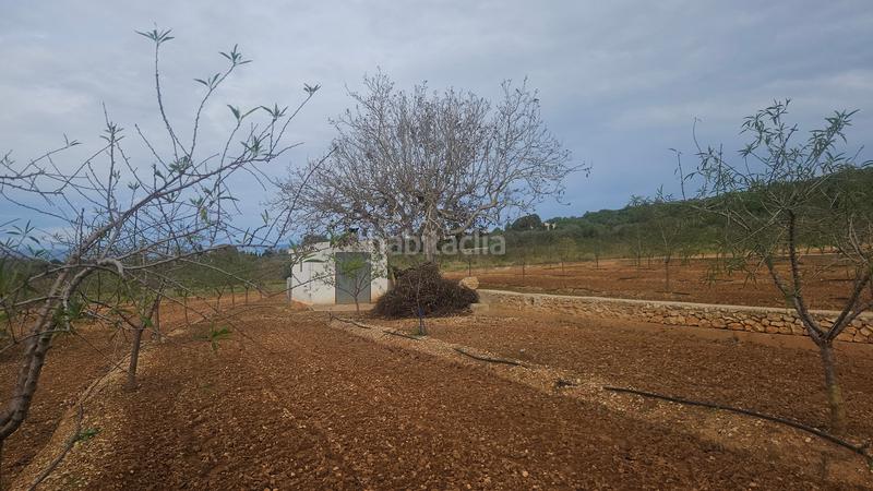 Foto f8b69517-1d4d-45b2-9fb6-ce98e9652a4b. Finca rústica a Ulldecona