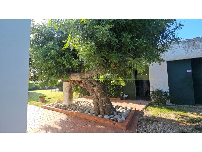 Foto 9f911994-8bb8-4a91-9566-db0142093a2e. Casa amb calefacció aparcament piscina a Costa Norte Vinaròs