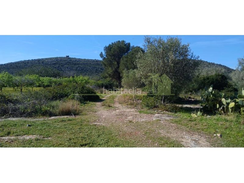 Foto a57c9e68-f9aa-42a5-bbaa-dfddf029d57a. Terreny residencial a Partidas de Interior - Zona Rústica Vinaròs