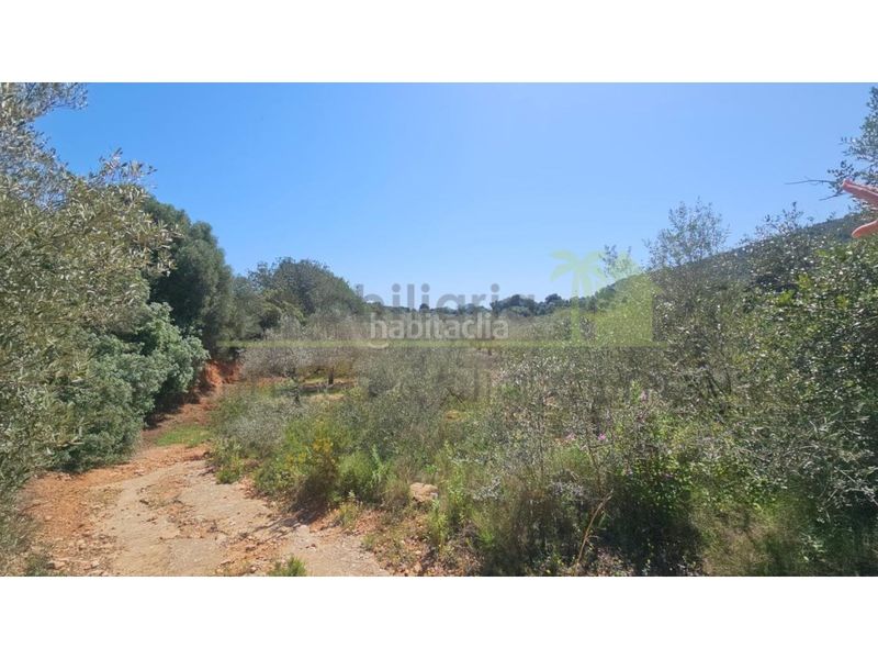 Foto aa3c691b-f9dc-4149-9d64-5d67c0a53315. Terreny residencial a Partidas de Interior - Zona Rústica Vinaròs