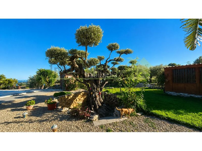 Foto f1f93a29-e2f0-4b3a-9241-e73780aabdd7. Casa amb calefacció piscina a Cálig