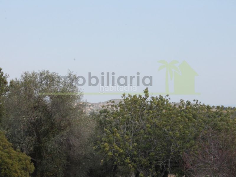 Foto 40fa1321-28ee-4c0d-862f-1f3cd42d1dd1. Finca rústica a Cervera del Maestre