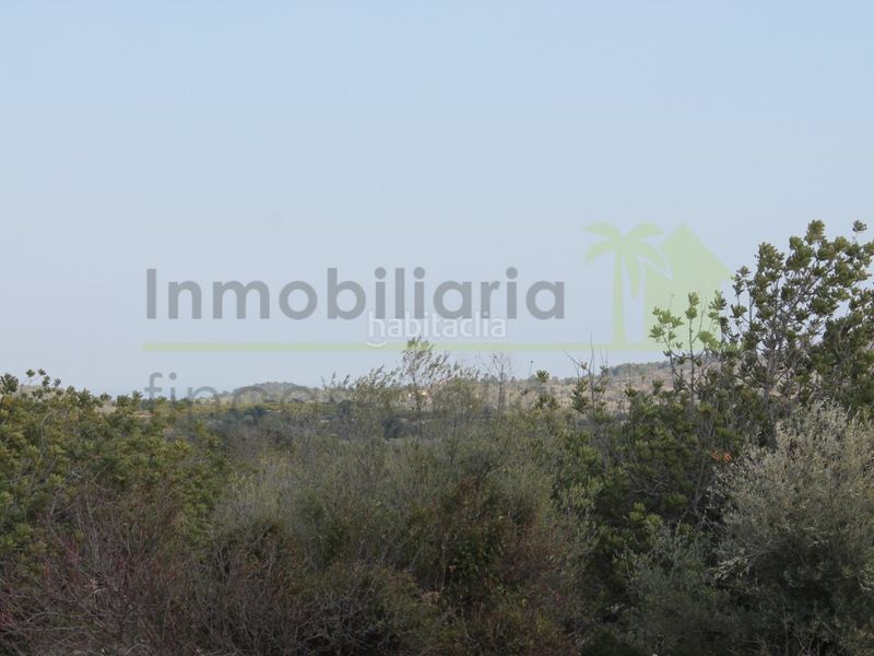 Foto 9a691fa7-9841-4701-8a47-62140b9d7165. Finca rústica a Cervera del Maestre