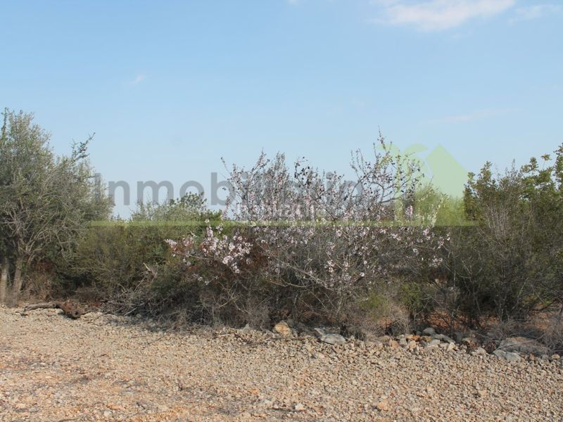 Foto bbae89c9-0a9d-4113-b534-5efdb36c42cb. Finca rústica a Cervera del Maestre