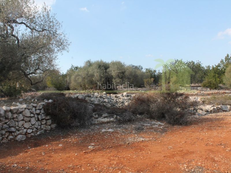 Foto c630040d-96f4-40bc-a9d6-a88983ff3c36. Finca rústica a Cervera del Maestre