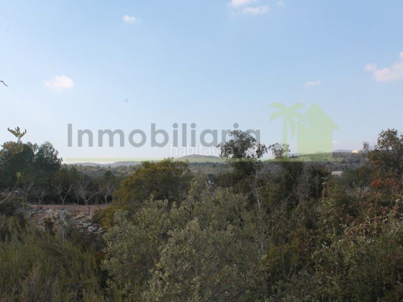 Foto ccd9a7db-cb4d-46b0-9c8a-46ae37d0dd5d. Finca rústica a Cervera del Maestre