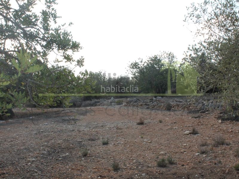 Foto e7e9b0f7-2fa7-419c-8da6-3da385eafb9b. Finca rústica a Cervera del Maestre
