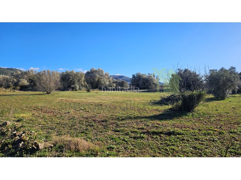 Foto 5414711b-1c06-4fa6-ae05-e9643a943d88. Casa a Sant Mateu
