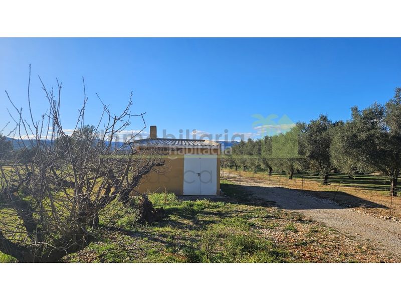 Foto 57916919-4e7a-4591-b895-331ff387a355. Casa a Sant Mateu