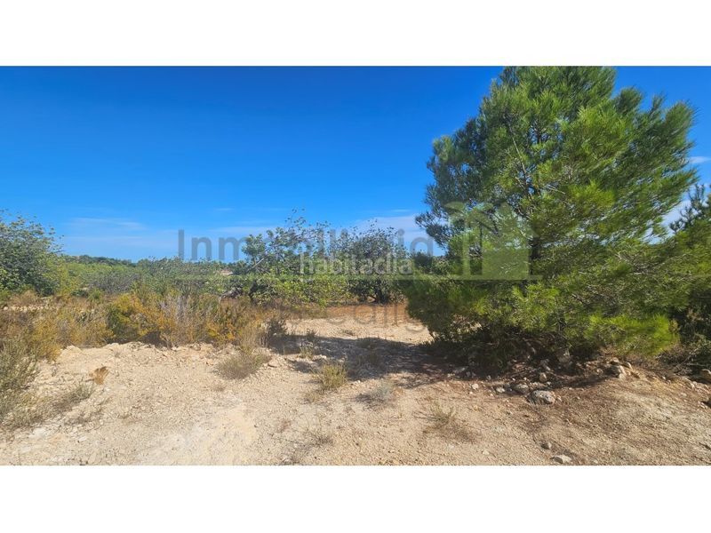 Foto 237983b6-7515-4ffb-8ad8-0104693741a0. Finca rústica a Cervera del Maestre