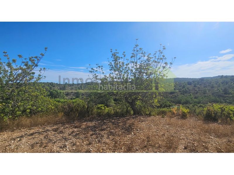 Foto 9fced5f8-0cad-45a4-9f1c-1dee95117876. Finca rústica a Cervera del Maestre