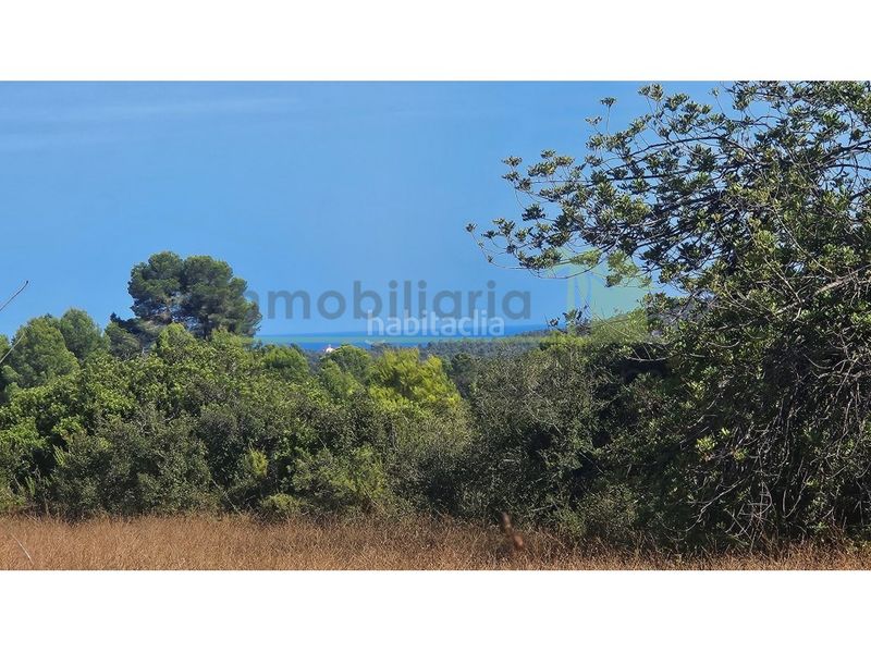 Foto ecaa57d4-36b3-4429-92de-df960d6d4d71. Finca rústica a Cervera del Maestre