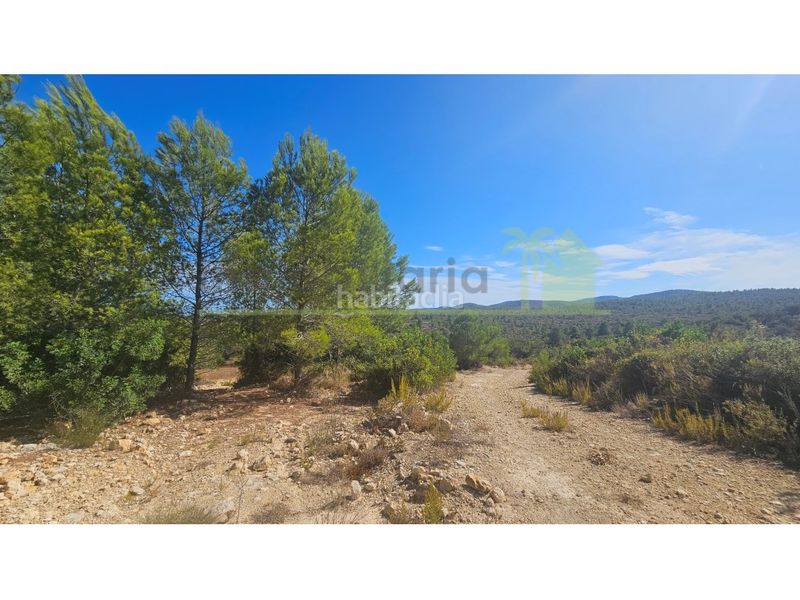 Foto fa7ef46e-d519-4b8f-9c0b-081bb1d0608f. Finca rústica a Cervera del Maestre