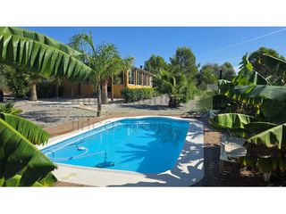 Mas  Plaza fabriques. Finca con casa moderna, piscina y olivar en cervera del maestre