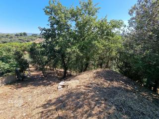 Finca rústica a Vilanova del Vallès. Terreno en venta   vilanova del valles