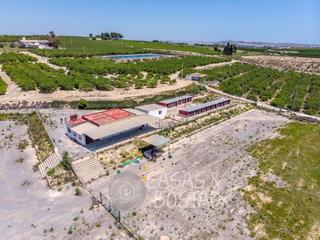 Mas à Montesinos (Los). Inversión única! finca rústica en los montesinos con vistas pano