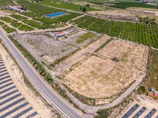 Mas à Montesinos (Los). Se vende finca rústica de 27.000 m los montesinos