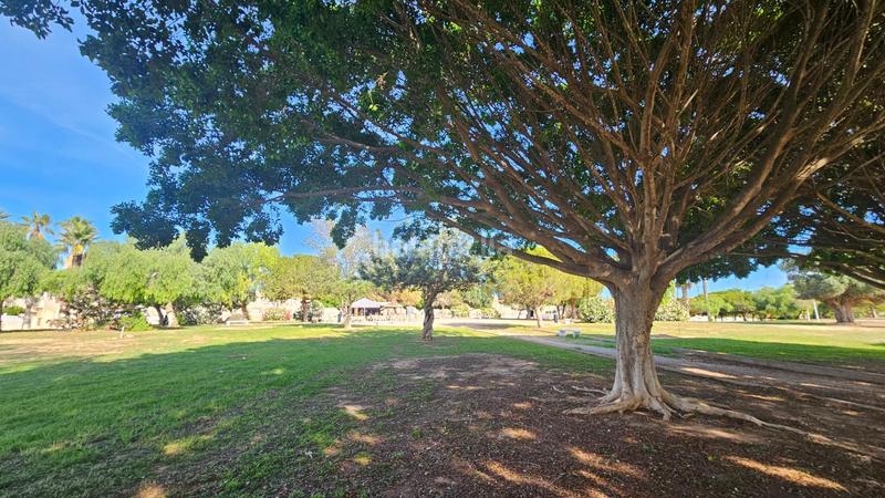 Foto 3491c6d8-0f4d-4a75-a2ce-0c9d2efc8506. Duplex avec chauffage parking piscine dans Aguas Nuevas Torrevieja