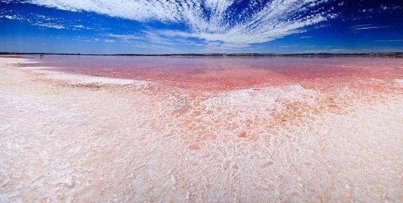 Foto 73c9de25-97e1-45dc-8d55-639dac442e28. Apartment with heating pool in Avenida Habaneras - Curva de Palangre Torrevieja