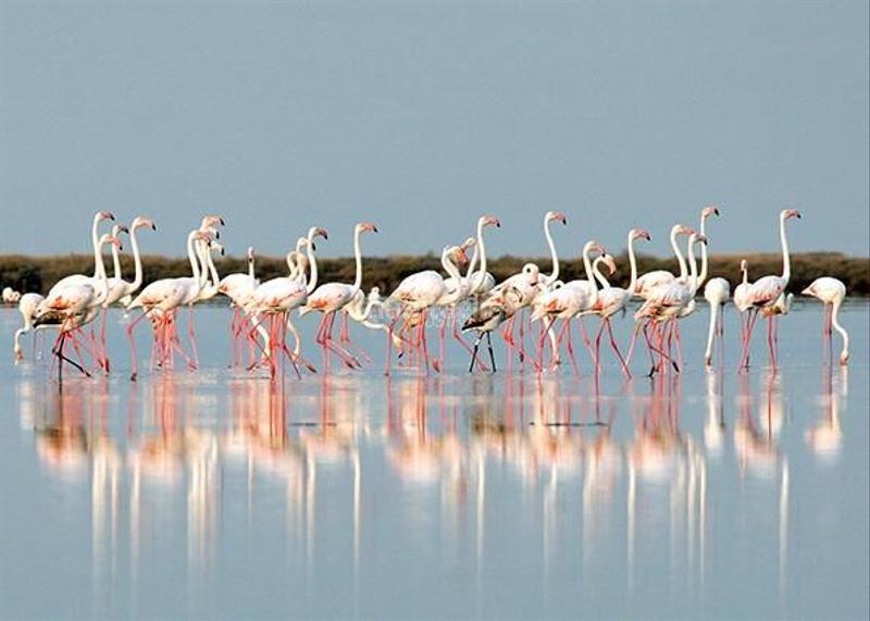 Foto 6cd5c406-dc68-4acf-8b7b-312c22e49ed0. Apartament amb calefacció aparcament piscina a Avenida Habaneras - Curva de Palangre Torrevieja