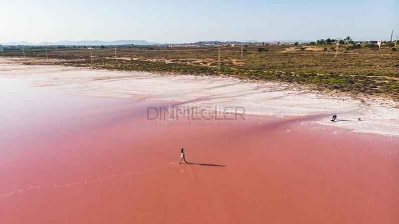 Foto 8a998289-e741-4d0f-8d52-ef18126f458c. Ground floor with pool in Zona Playa del Cura Torrevieja