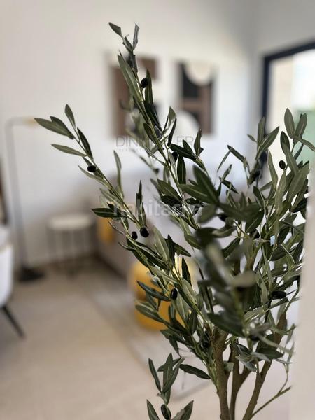 Foto 8e54850f-992d-4f2e-9c91-75746b730f63. House with parking pool in San Fulgencio