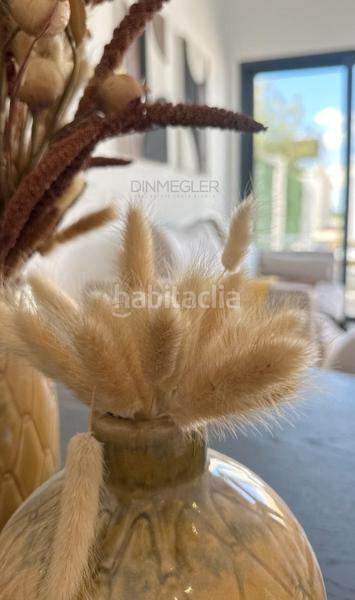 Foto c8f179b5-c9be-4664-b117-b6ff2d9a53d6. House with parking pool in San Fulgencio