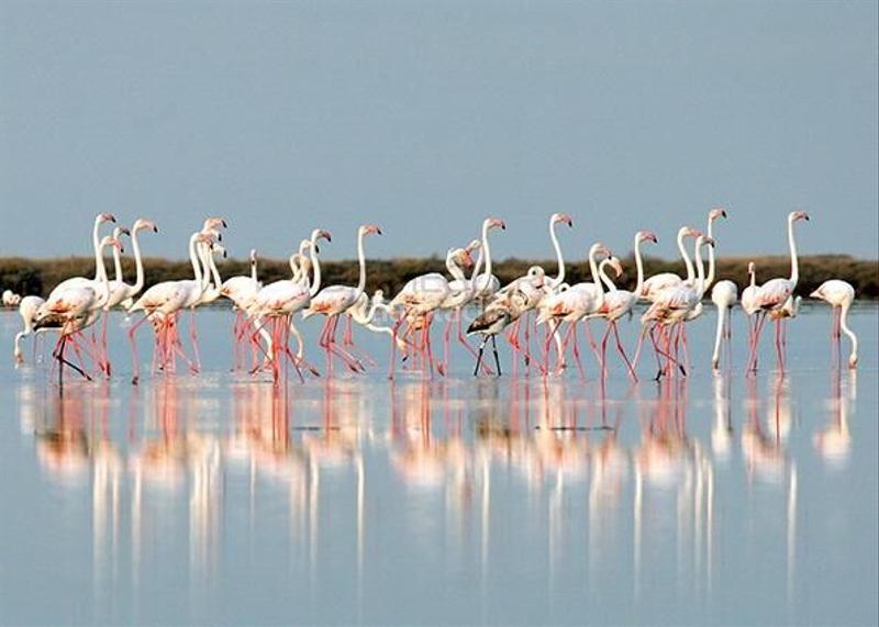 Foto 862856c8-7793-4c4a-8a5f-e5f4e98e9ce7. Attico con riscaldamento parcheggio piscina in Avenida Habaneras - Curva de Palangre Torrevieja