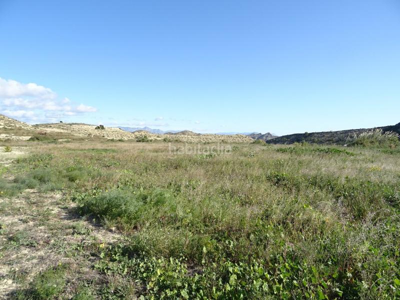 Foto 744809a0-0213-456d-8252-b4b252b7ae9c. Chalet in San Juan Aspe