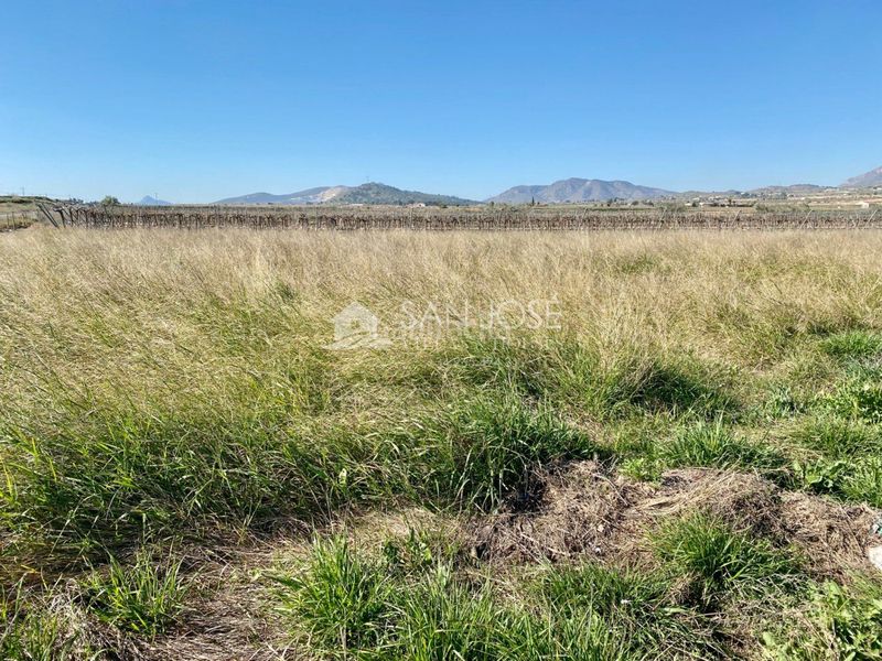 Foto 57737ef6-bfa0-4b39-9a02-494601742973. Finca rústica a Hondón de las Nieves