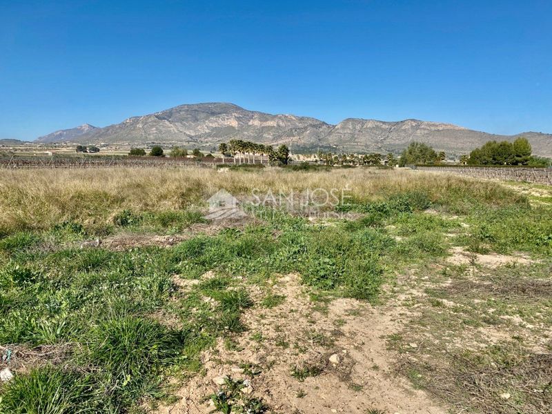 Foto a7934b8c-b696-4ede-9a3b-c5e51618cb64. Finca rústica a Hondón de las Nieves