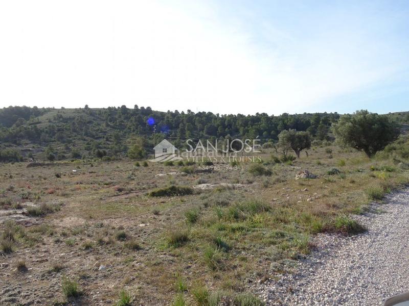 Foto 6970c27e-65f7-4fec-9967-9f32e635bd27. Finca rústica se vende parcela rural en la canalosa para construir en Hondón de las Nieves