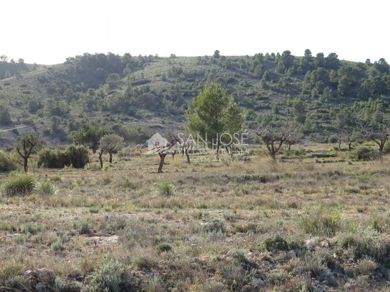 Foto 8f60b8f5-bbfe-4fba-a4d6-50c57cc752d2. Finca rústica se vende parcela rural en la canalosa para construir en Hondón de las Nieves