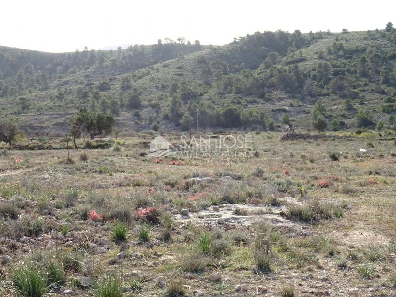Foto 904e7f9e-4b81-423f-8b13-67af80f57f55. Finca rústica se vende parcela rural en la canalosa para construir en Hondón de las Nieves