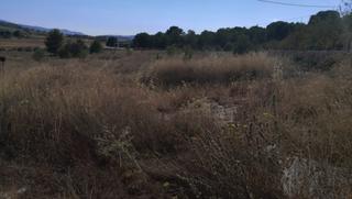 Finca rústica a Monòver. Se vende terreno en plena naturaleza monovar spain