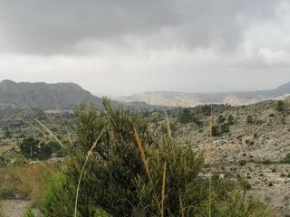 Masia a Xixona. Espectacular finca en jijona