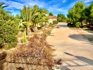 Xalet a Pedanías Oeste. Venta de chalet en aspe zona tolomo
