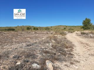 Terrain résidentiel à Pinoso. Se vende terreno rustico en pinoso alicante spain