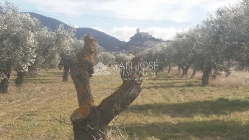 Foto 35a139a4-0bc2-4b07-a09c-3a6a1c373aac. Terrain résidentiel dans Biar