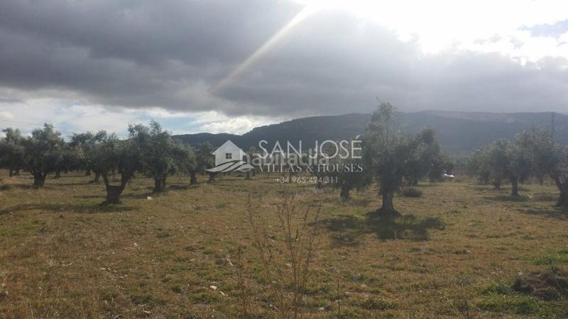 Foto 92484da4-c272-4d41-aec5-d200d93a8fe7. Terrain résidentiel dans Biar