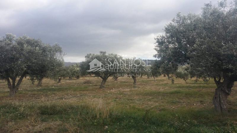 Foto a1d989d6-eccd-48ba-b7e5-b14286945785. Terrain résidentiel dans Biar