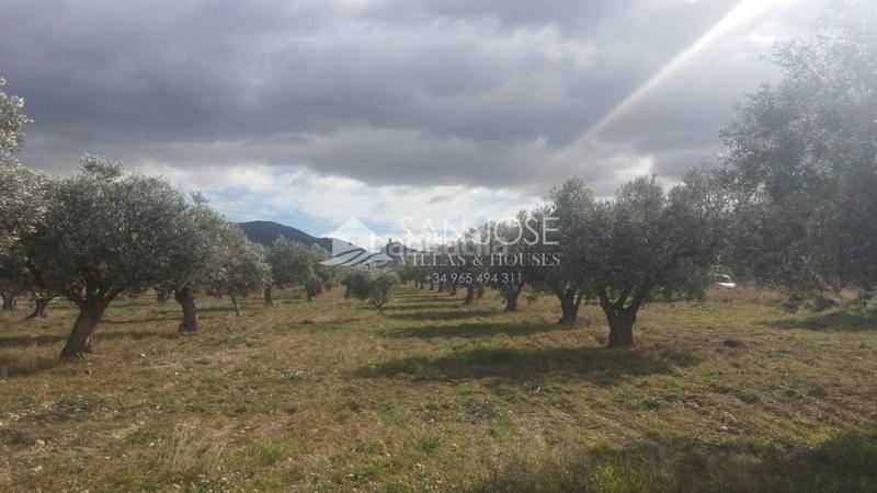 Foto b28ea92a-1f21-403b-bb05-a6f5ae30b366. Terrain résidentiel dans Biar