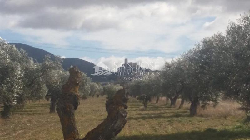 Foto d3a234c9-f300-4500-aac3-66af7fae8b2d. Terrain résidentiel dans Biar