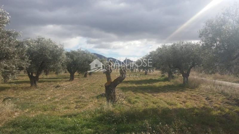 Foto e7151a34-5284-44bf-8958-40d0e09ad106. Terrain résidentiel dans Biar