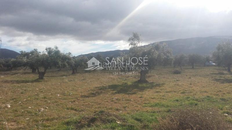 Foto fe98c5c1-aba5-45d5-981b-fb372843ddb9. Terrain résidentiel dans Biar