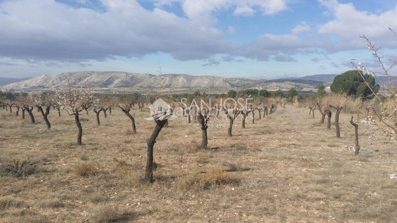 Foto 2a0ab6ee-7811-40b0-ae54-dc097fd69459. Terrain résidentiel dans Biar