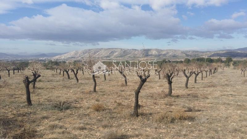 Foto 98762449-5111-49d5-9bc3-91eda4f15303. Terrain résidentiel dans Biar